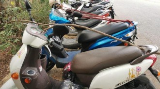 停車場驚見「機車卡超長樹枝」當地人喊：很正常！曝背後原因「沒放下場慘不忍睹」 