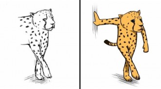 畫到一半不想畫！他畫出「半途而廢爆笑插畫」爆紅　永遠猜不到結果「豬豬直接變企鵝家族」超任性
