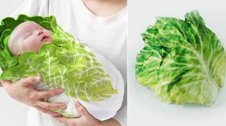 不愧是日本出品！超逼真「大白菜寶寶包巾」可愛爆表　療癒惡搞「把大蒜玩出新高度」網心動想下單