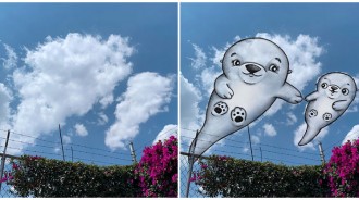 想像力好豐富！藝術家「將雲朵變成Q萌動物」爆紅　傍晚時分「赫見恐龍在天空溜冰」逗趣又療癒❤️