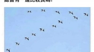 奇怪的知識又增加了！