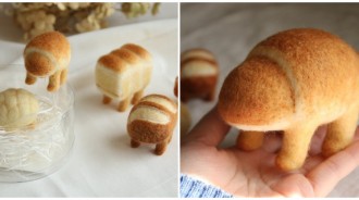還以為是早餐！藝術家DIY「長腳麵包羊毛氈」彷彿有生命　巧手再創「超療癒兔兔」心情瞬間變美麗