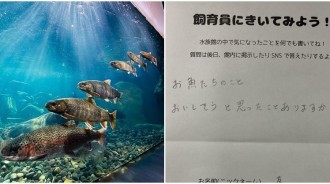 遊客填問卷「會不會覺得魚好吃」？水族館長「幽默神回覆」引網熱議：好有愛的答案❤️