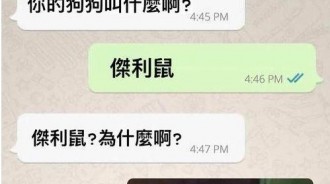 真的是鼠如其名!?