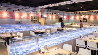 流水蝦都倒光了？全盛期14間店「活蝦吃到飽」人潮爆滿搶著吃　如今剩2間業者苦撐「在台灣無法生存」 