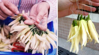 100元買人性！她善心買玉蘭花..阿婆「超狂十八字」讓網友全傻眼！：我臉上是有寫盤子？