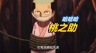 海賊王984集情報，烏爾緹vs魯夫，魯夫徹底暴走！桃之助被暴打