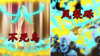 海賊王1012集：瑪律科全場最佳，一把火人均炎災，還提議帶索隆飛