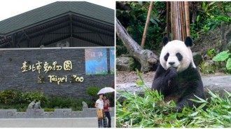 北市動物園要漲價了！「票價漲2倍」僅北市民維持60元網喊：還是超值得！