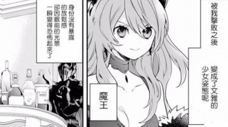 勇者因能力太強受人排擠，最後被趕出王都，一氣之下辭職不幹轉投魔王軍了