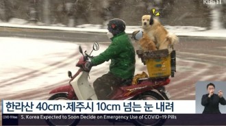 騎車遇暴風雪！貼心幫後座愛犬戴上「保暖耳罩」　牠還「呆萌看鏡頭」：偶可愛吧～