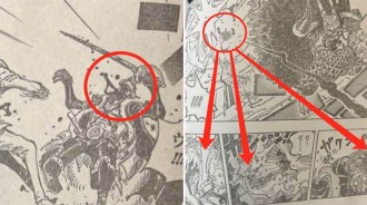 海賊王1042，魯夫因分心被凱多擊敗，網友吐槽：下一話凱多會想不開