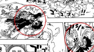 海賊王1043話：凱多三次擊敗魯夫，為何他沒有對魯夫補刀？