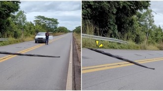 馬路上怎麼有條線！男子下車一看立刻「熱心攔車護送」：過馬路要注意安全唷～