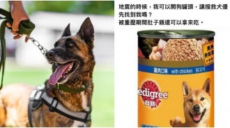 地震受困「開狗罐頭」會更快獲救？「專業搜救犬團隊」說話了：沒用！