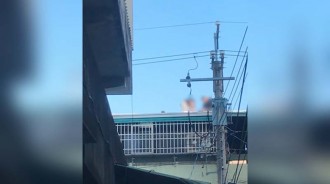 1對男女在透天厝屋頂「做這事」 ，網友驚呼：父母白養了