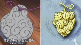 海賊王：5大賭徒放手一搏，歐皇吃到神級果實，非酋看圖鑒都沒用