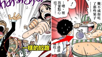 「超細節大發現！」《海賊王》中一顆隱藏的惡魔果實，如今已經不知去向，是否是尾田的伏筆？