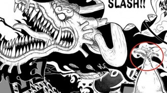 海賊王1048話：情報師透露索隆、基拉出現，有一道斬擊擊中凱多