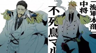 海賊王：海賊穿上海軍正義服，魯夫三兄弟變痞，卡二成最正經海軍~