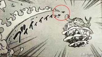 海賊王1045話：路飛覺醒后能力介紹，看完都說太BUG了