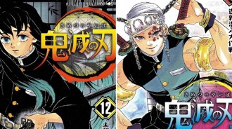 霞柱和炭治郎的鎹鴉結為夫婦？鬼滅之刃公式書柱篇2：宇髄天元、時透無一郎、甘露寺蜜璃秘密公開！