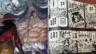 海賊王：凱多10歲獲得最強士兵稱號，13歲被懸賞七千萬