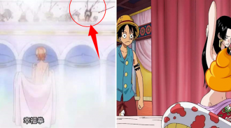 海賊王：為何魯夫對娜美有好感，卻對女帝一點感覺都沒有？