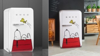 好想在家擺一台！超可愛「史尼比小冰箱」限量登場　典雅簡約「底部專屬驚喜超療癒」鐵粉必收藏