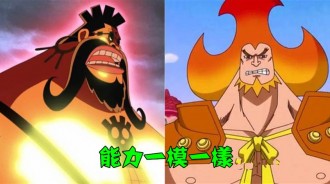 盤點海賊王中9顆功能重疊的果實！有2顆一模一樣，打破「能力不重複」規則