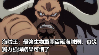 海賊王：最強生物軍團百獸海賊團，炎災實力強悍結果可惜了