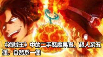 《海賊王》中的二手惡魔果實，超人系五個，自然系一個