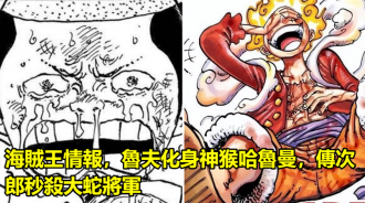 海賊王情報，魯夫化身神猴哈魯曼，傳次郎秒殺大蛇將軍