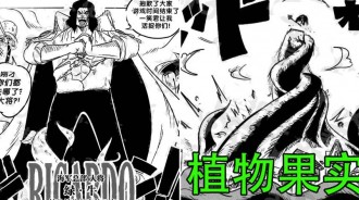 海賊王同人：綠牛登場，為植物果實能力者，掌握更高級武裝色霸氣