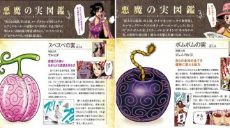 海賊王：惡魔果實圖鑒來襲！12顆未露面的「惡魔果實形狀」公佈，樣子很詭異~