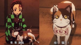 《鬼滅之刃》：珠世為何將自己養的貓轉化成鬼？向來「心狠手辣」的鱷魚老師心軟了