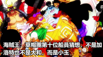 海賊王：草帽團第十位船員猜想，不是加洛特也不是大和，而是小玉