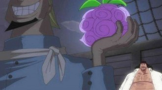 海賊王：暗暗果實有什麼魅力，能讓黑鬍子等待十幾年，因為上屆主人是王