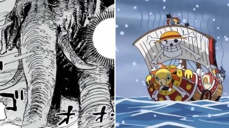 海賊王：冥王其實是個船靈，最後給了桑尼號，象主很可疑