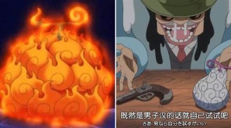 《海賊王》：尾田至今公佈20顆果實形象，草帽團公佈4顆，龍果實最醜