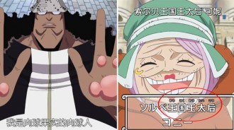 海賊王：關於暴君熊的過去，三個細節證明波妮是熊的女兒