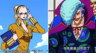 海賊王：多年臥底生涯都混成了什麼職業？最強的，都成了敵軍幹部