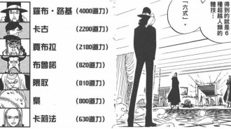 海賊王一個被淘汰的戰鬥系統，若沒失敗或許會跟霸氣系統並肩，因為人氣下降而腰斬