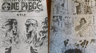 海賊王：粉絲畫「青雉VS赤犬」決鬥全過程，刺激！尾田：還真自己畫了！