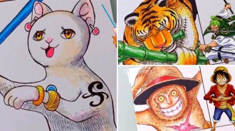 海賊王：當草帽海賊團全員動物化， 喬巴：我還需要動物化嘛~