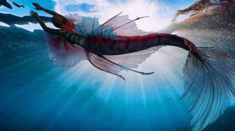 「3000年前的美人魚」，4000米深海的蛤蟆人，「錄像曝光」深海中的美人魚