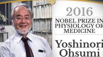 諾貝爾得主發現「餓肚子」比較健康！ 身體會變超乾淨，「避免失智」還能降低心臟病和糖尿病的風險！ 快分享出去吧！