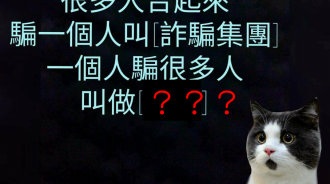 很多人一起騙一個人叫詐騙集團...那一個人騙很多人呢？