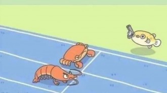 螃蟹跟蝦子賽跑...後勁太強！