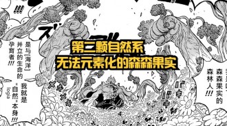 海賊王1054話：被忽略的細節！紅髮知曉尼卡，森森果實不能元素化